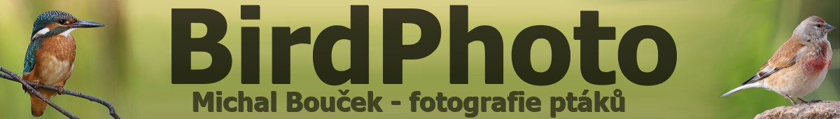 Astrofoto Michal Bouek