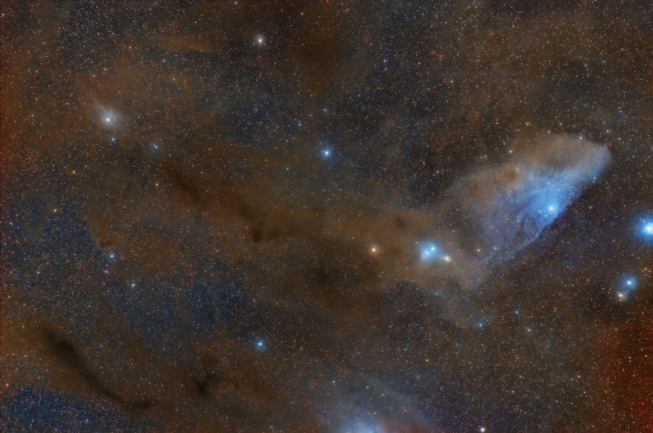 IC4592 (Blue Horsehead)