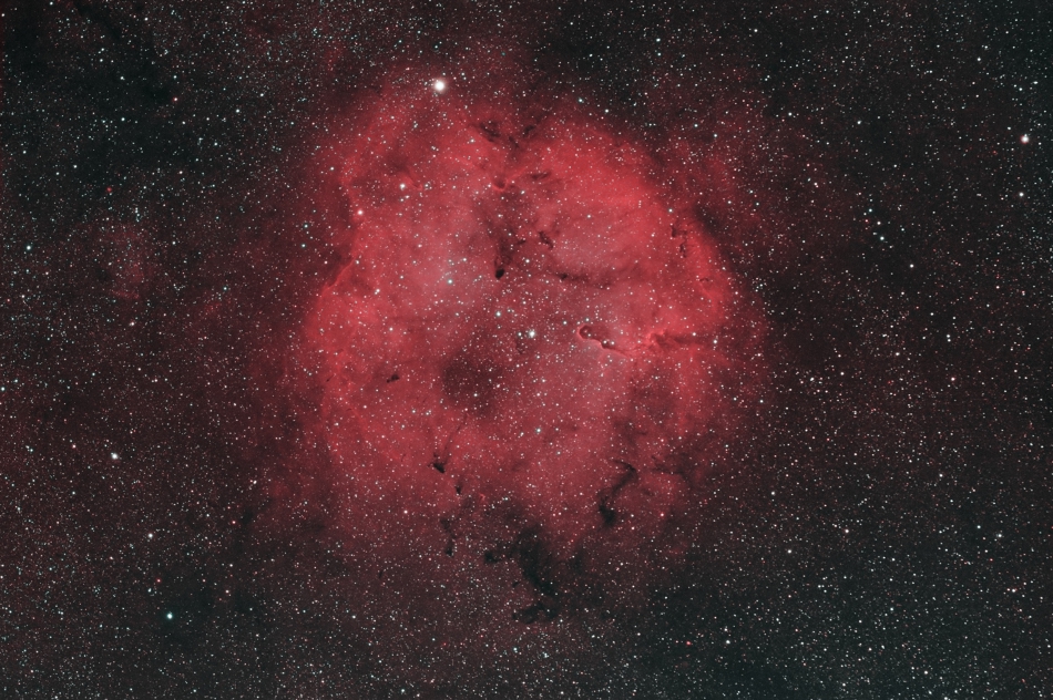 IC1396 bicolor