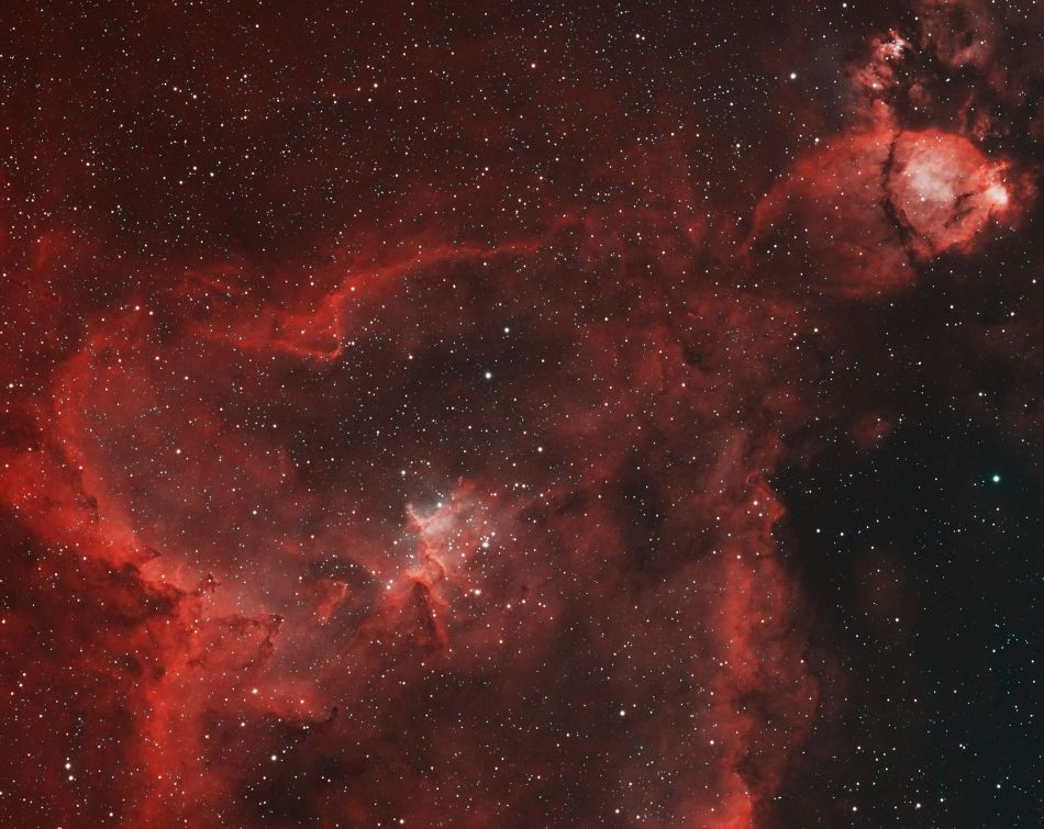 IC1805-HOO IC1805-HOO