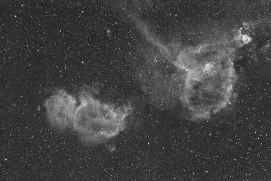IC1805, IC1848 IC1805, IC1848