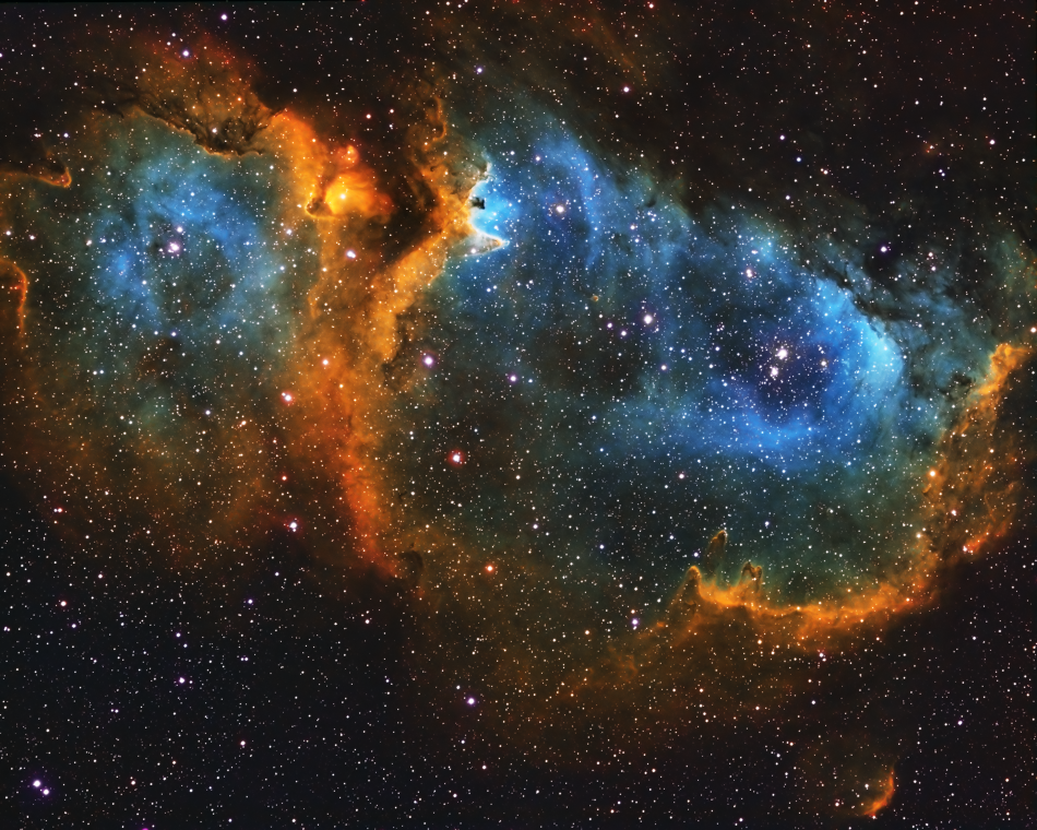 IC1848-SHO IC1848-SHO