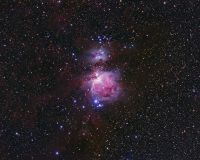 M42