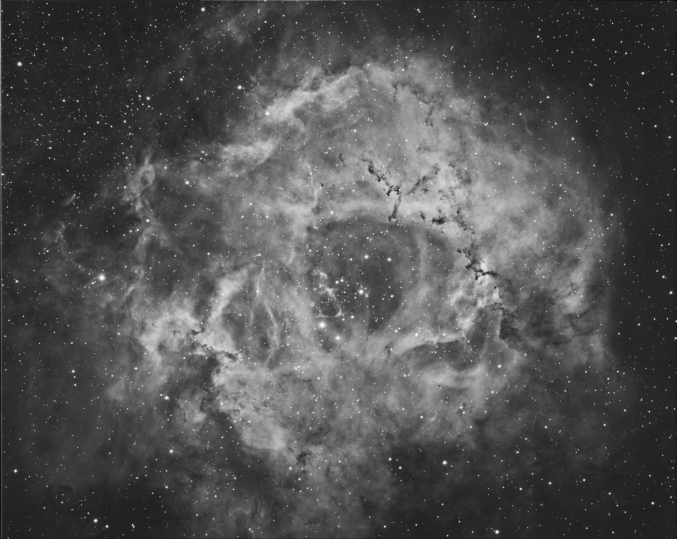 NGC2237 Halfa NGC2237 Halfa