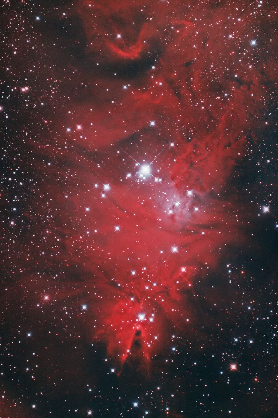NGC2264
