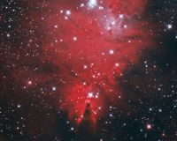 NGC2264
