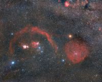 Orion