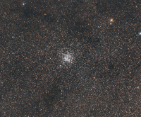 M11