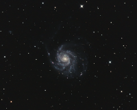 M101