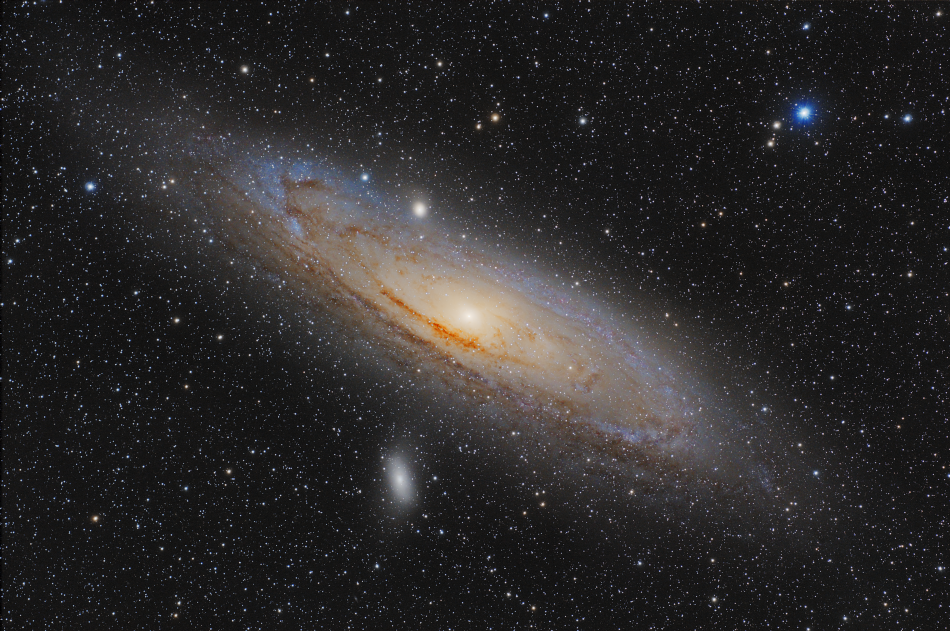 M31
