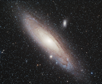 M31