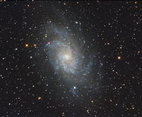 M33