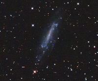 NGC4236