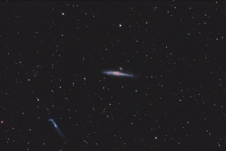 NGC4631