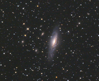 NGC7331